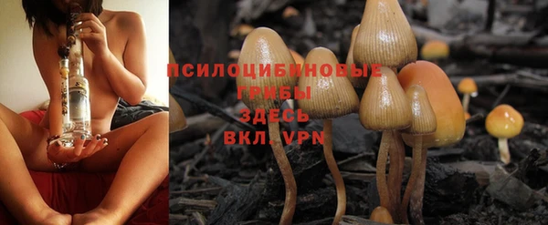 амф Абинск