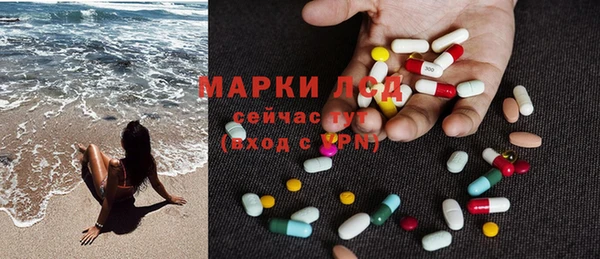 ГАЛЛЮЦИНОГЕННЫЕ ГРИБЫ Абаза