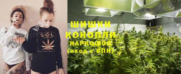 ГАЛЛЮЦИНОГЕННЫЕ ГРИБЫ Абаза