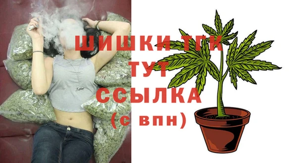 ГАЛЛЮЦИНОГЕННЫЕ ГРИБЫ Абаза