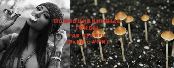 прущие крисы Абдулино