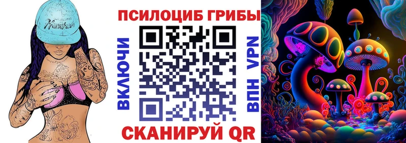 Псилоцибиновые грибы Psilocybe  Алагир 